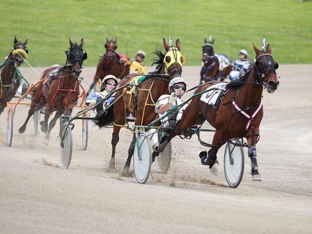 Clinton Horse Racing 